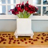Galashield Flat Glass Marbles for Vases Red Glass Gems Beads