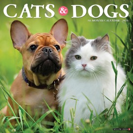 Cats & Dogs 2025 12" x 12" Wall Calendar