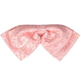 tiemart Coral Clara Paisley Floppy Bow Tie