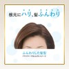 Hoyu Bigen Color Treatment NBR (Natural Brown) 180g