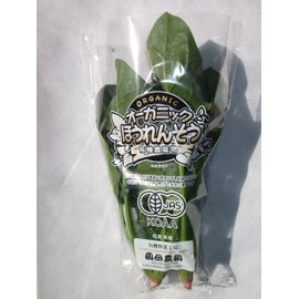 Kyushu Saga Prefecture Sonoda Farm Spinach 5.3 oz (150 g) (JAS Organic Cultivation)