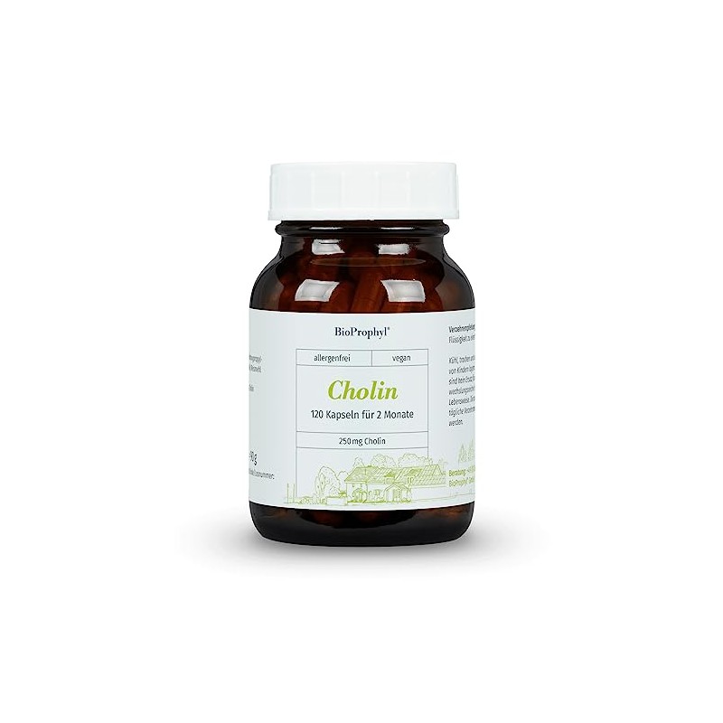 BioProphyl® Choline - 250 mg Choline from VitaCholine® - 120