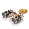 Aroncent Classic Binoculars Compact Binoculars - 3 x 25 Men