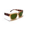HAWKERS Unisex Mate Sunglasses, mustard juniper