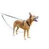PetSafe Anti-Pull Dog Lead, For Use with PetSafe 3 in
