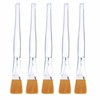 Facial Mask Brush Makeup Brushes Cosmetic Tools with Clear Plastic