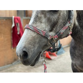 Equipride Braided Headcollar Lead Rope Set Size Full-Shetland Pink/Grey (Shetland)