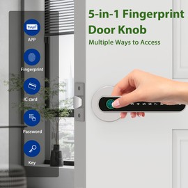 CHEN LCLILICHEN Smart Electronic Fingerprint Door Lock, Keyless Entry with Handle, Codes, APP, IC Cards, Fingerprints, Keys, for Home Bedroom Apartment (Silvery)