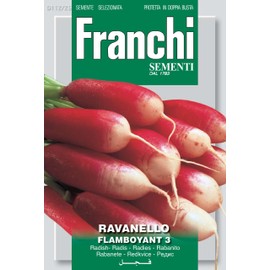 Franchi Radish Flamboyant