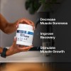 Transparent Labs Bcaa Glutamine Polvo 8000 Mg