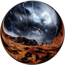 Jigsaw Puzzle Round 1000 Pieces Art Puzzle for Home Office Decoration, Difficult and Challenge Game for Families, Adults, Couples and Kids Large 27 Inches (Eagle in The Sky)