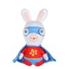 Gipsy Raving Rabbids Superhero