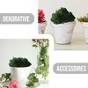 Eurofoto Iceland Moss Preserved – Moss for Crafts and Decoration