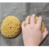 Knockdown Texture Sponge, Large 5.5x4.6x2.6'' Drywall and Wall Patch Ceiling