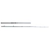 Tsunami Trophy II TSTIISS-1002DM Spinning Surf Rod