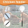 2-Pack Chicken Feeder, Chicken Toys for Hens with Spring and