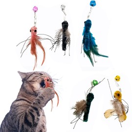 Hjvvr 5pcs Cat Teaser toys,Cat Feather Toys,Simulated Insects Cat Toys for Pet Cat (Not include Road)