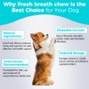 Welsdom Pets Fresh Breath Chew - 30 Chews | Oral