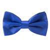 Alizeal Fashion Adjustable Pre-Tied Holiday Bow Tie for Men, royal