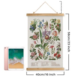 MIDEFINCH Vintage Botanical Poster Print of Familiar Flowering Plants - Rustic Wooden Hanger Frame Linen Canvas Wall Decor for Living Room Bedroom Office 16 X 23 inches