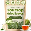 TROPICAL TEAHOUSE 250+ Soursop Dried Leaves, 3oz Premium Graviola Leaves, 100% Pure Guanabana Leaves, Handpicked, Gluten Free, Caffeine Free, Sugar-Free