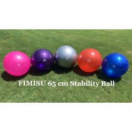 FIMISU 65cm Fitness Stability Ball • Yoga Balance Ball • Exercise Training Ball (Purple)