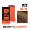 Disposable Long-Lasting Temporary Hair Color Brush, 20g/0.7oz (Coffee, 20g)