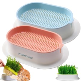 YUMINGUHC 2Pcs Cat Grass Planter (No Seeds Included) Wheatgrass Planting Trays Hydroponic Cat Grass Growing Kits for Indoor Cats Soilless Organic Nursery Box Pet Grass Pot (E)
