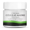 Crema Células Madre Vegetales Nutre,repara,desmancha Tu Piel Todo Tipo De
