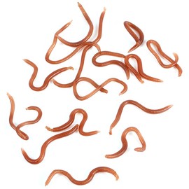 FOLOSAFENAR 10 cm Worm Shaped Fishing Bait Artificial Earthworm Fishing Bait Tackle for Carp Fishing