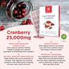 Healthspan Super Strength Cranberry Capsules (60 Count) | Supports Immune