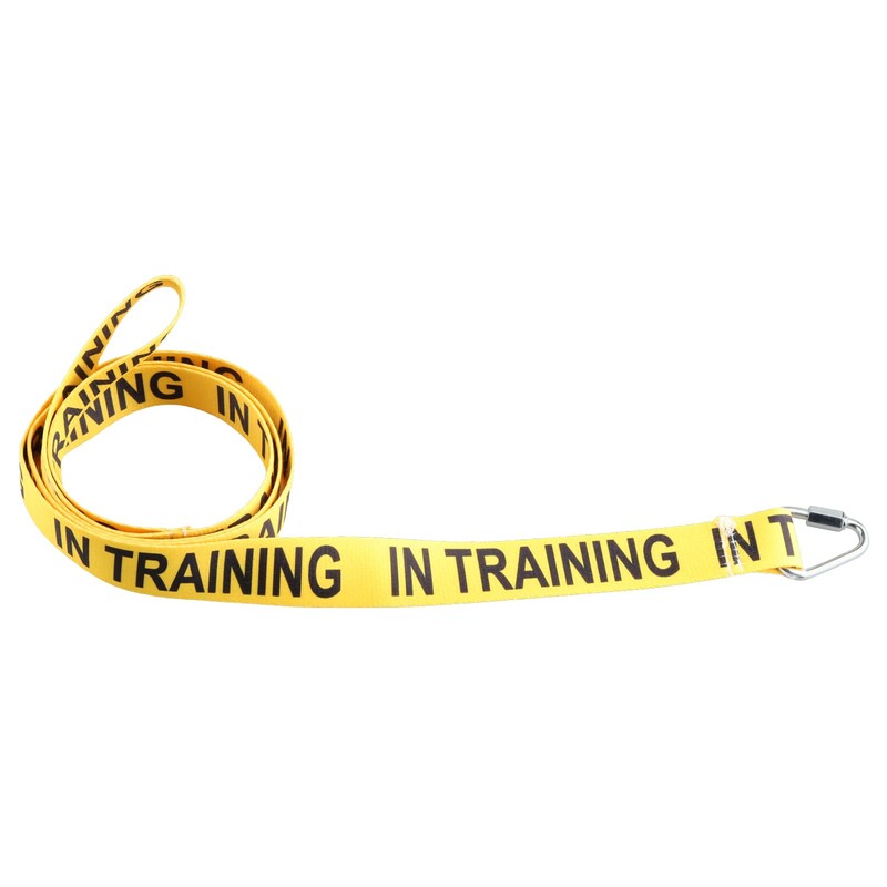 JXGZSO I Need Space/in Training Dog Working Dog Lead Rescue