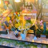 Haura Darcy Flower House Dollhouse Kit, Tiny House Kit, Doll