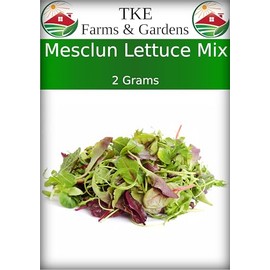 TKE Farms & Gardens - Mesclun Lettuce Mix Seeds for Planting, 2 Grams, 1000 Heirloom Seeds, Non-GMO, Instructions Included, Lactuca Sativa, Qty 1