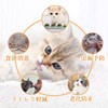 Vineer Again Cat Toy Ball for Cat Licking Catnip Digestion