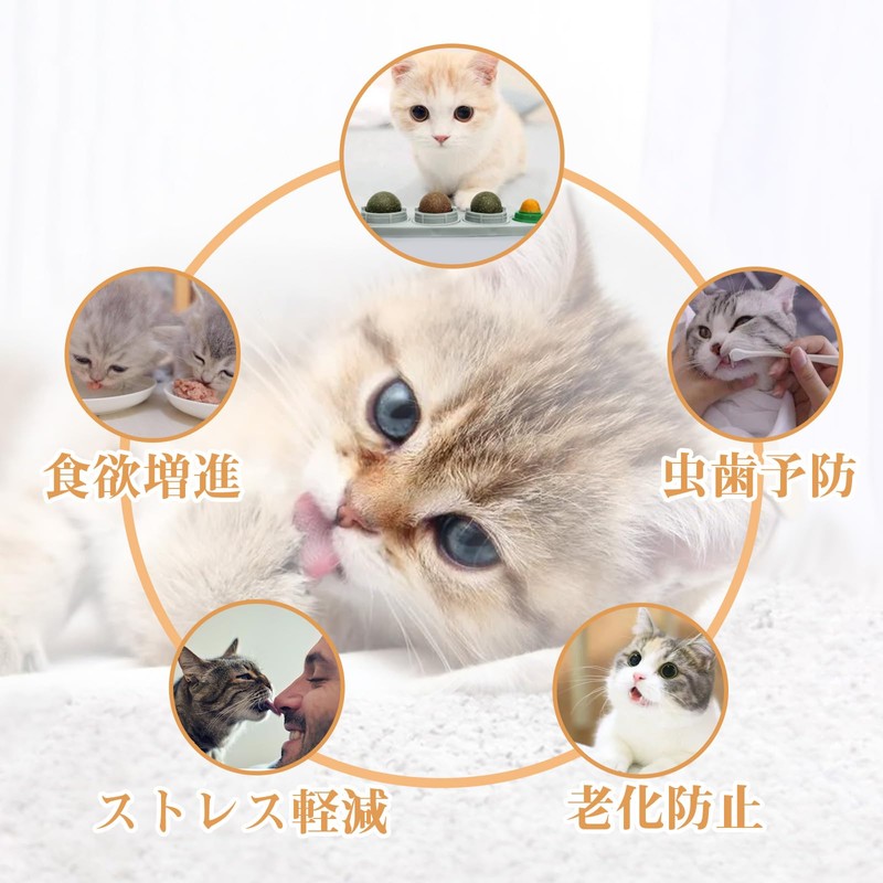 Vineer Again Cat Toy Ball for Cat Licking Catnip Digestion
