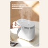 Humidifier 2L Capacity USB Charging Delicate Double Spray Humidifier with