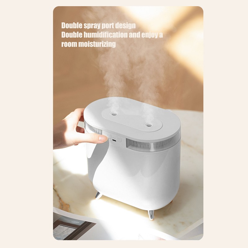 Humidifier 2L Capacity USB Charging Delicate Double Spray Humidifier with