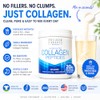 Collagen Laborés Llc Péptidos Colágeno Hidrolizado Polco 560 Grs