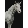 3dtotal Anatomy: Equine figure