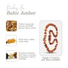 Baby J's - Multi-Coloured Bracelet/Anklet - Premium Amber Bracelet -