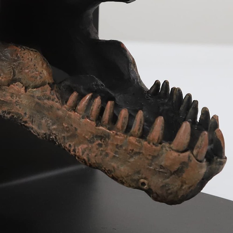 Tyrannosaurus Rex T-Rex Skull Bookend Decorative Book Decor,Home Decorative Resin