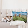 Lunarable Highland Cow Throw Pillow Cushion Cover Pack of 2,
