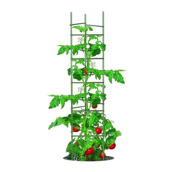 Growsun Tomato Cage for Garden, Upto 73 inch 6 PackTall Tomato Trellis Garden Stakes Plant Support, Green(5ft Stake add 18 inch Adjustable Stakes)