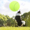 ANC POP Herding Ball for Dogs & Horses - 20"