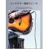 ANYPLUS 6.35 mm Musical Instrument Cable, 6.35 m (6.35 m)