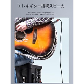 ANYPLUS 6.35 mm Musical Instrument Cable, 6.35 m (6.35 m) Guitar Line, Stereo Standard Plug Line, Used for Connecting Public Commission, Articulation, Guitars, Loudspeakers, etc