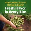Del Monte Cut Green Beans - 12/14.5 oz. cans