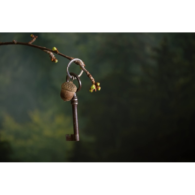 WILDLIFEGARDEN Wildlife Garden – Key Ring – Acorn – Hand
