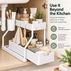 2-Tier Under Sink Organizer for Kitchen & Bathroom – Stainless